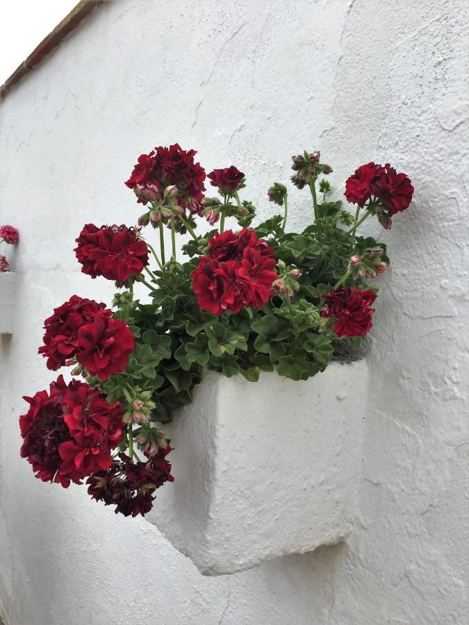Casa Las Torres B&B Iznate Екстериор снимка